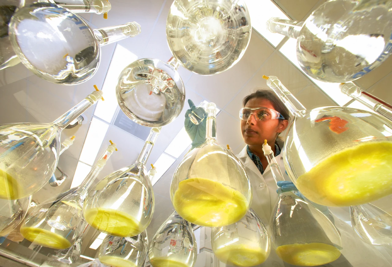 Bayer: Grünes Licht für China