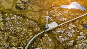 Nel, NextEra Energy und Co: Green Deal  / Foto: Anton Petrus/GettyImages