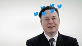 Twitter: Elon Musk: Die neue Macht bei Twitter