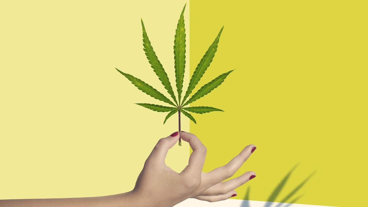 Hot-Stock der Woche: Ein Gras für alles?