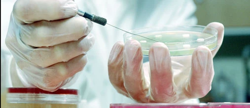 MorphoSys: Wie Anleger jetzt handeln sollten!