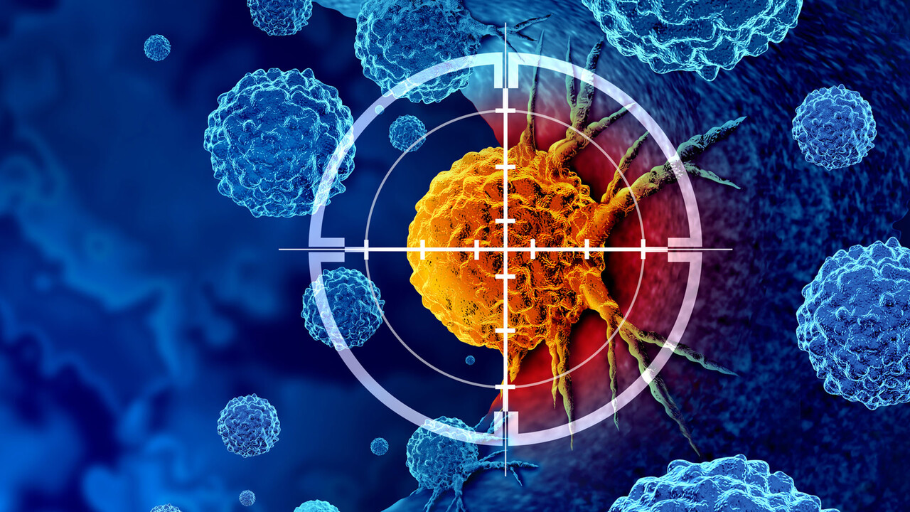 Immatics: Deutsche Biotech-Hoffnung unter Druck