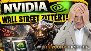 Nvidia‑Schock, Silber‑Sause, Novo‑Desaster, Software‑Selloff 