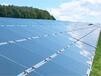 Experte warnt vor Kursverlusten von bis zu 90 Prozent bei First Solar, Suntech, Yingli, Solarfun und Renesola   / Foto: Börsenmedien AG