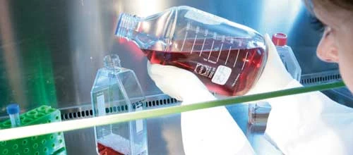 Dividendenperle Roche: Top‑Kooperation mit Tesaro – das ist jetzt wichtig