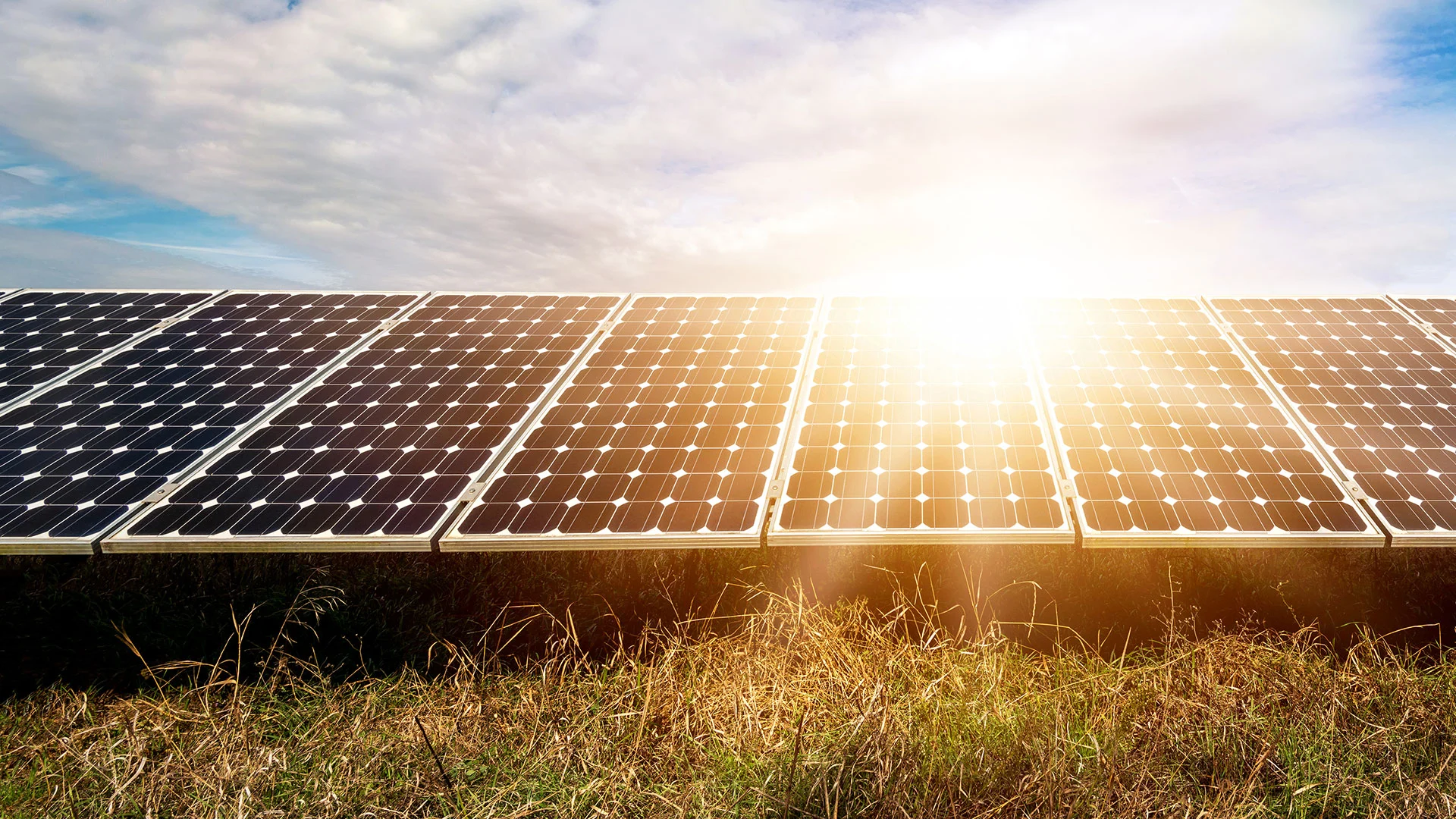 Solar&#8209;Unternehmen mit starkem Ausblick – Aktie legt besonders kräftig zu  (Foto: Shutterstock)
