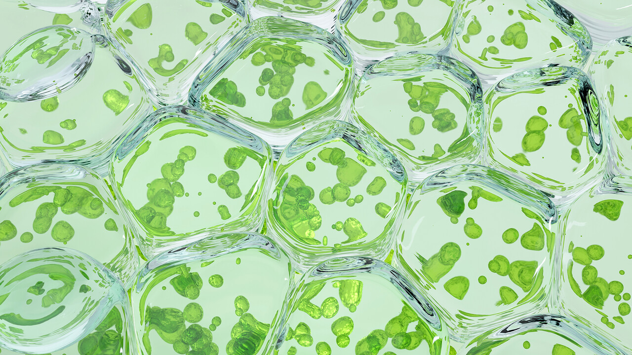 Übernahme-Knaller: Biotech-Aktie Apellis explodiert 140 Prozent