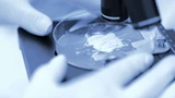 AlzChem Group AG: Alzchem wächst weiter: Nimmt die Aktie wieder Fahrt auf?