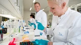 Novo Nordisk: Novo Nordisk: Neues Kursziel – wichtiger Termin voraus
