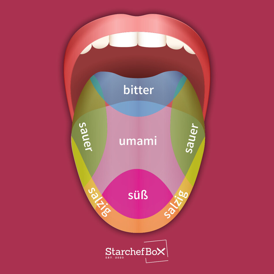 Die umami - Geschmacksrezeptoren auf der Zunge