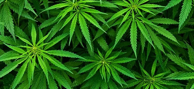 Cannabis: Welche Aktie darf gehandelt werden, welche nicht (Foto: Börsenmedien AG)