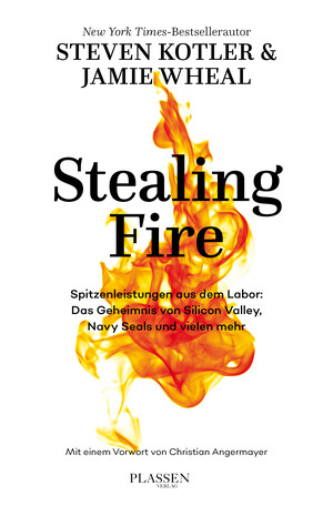 PLASSEN Buchverlage - Stealing Fire