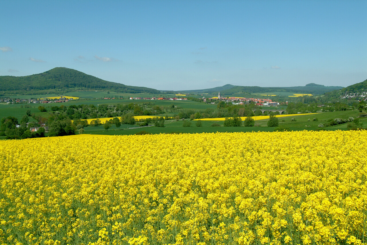 K+S: Die nächste positive Nachricht