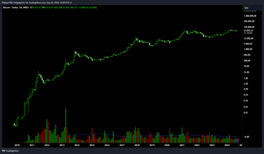 Bitcoin Monatschart logarithmisch