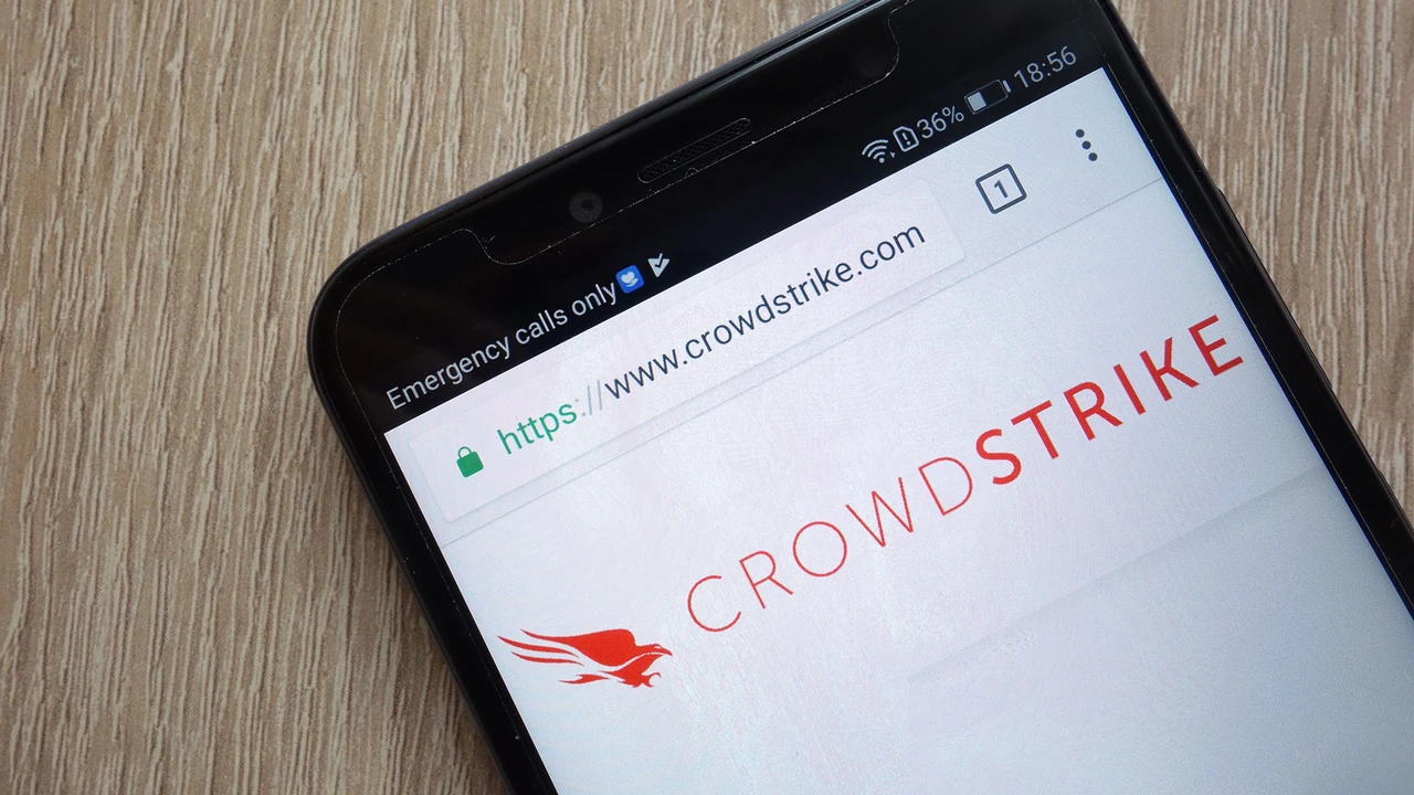 CrowdStrike vor Zahlen: Damit können Anleger rechnen