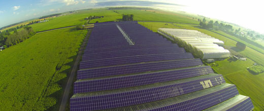 JinkoSolar pulverisiert Erwartungen, Aktie schießt nach oben