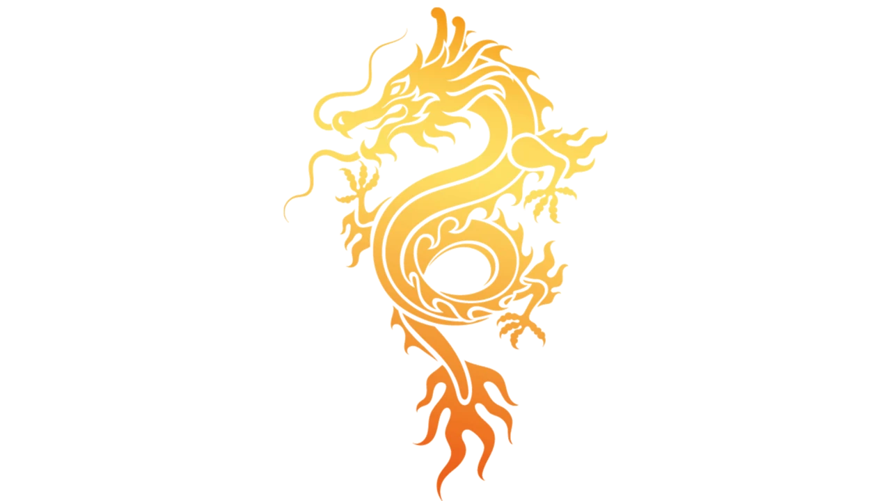 Die 8 besten China-Aktien
