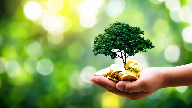 Mit Investments Gutes tun: Was bringt echtes „Impact Investing“ wirklich?