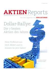 Dollar-Rallye: Die 7 besten Aktien des Jahres aus DAX, MDAX & Co