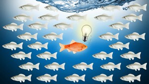 Antizyklisch investieren – worauf Anleger achten sollten 