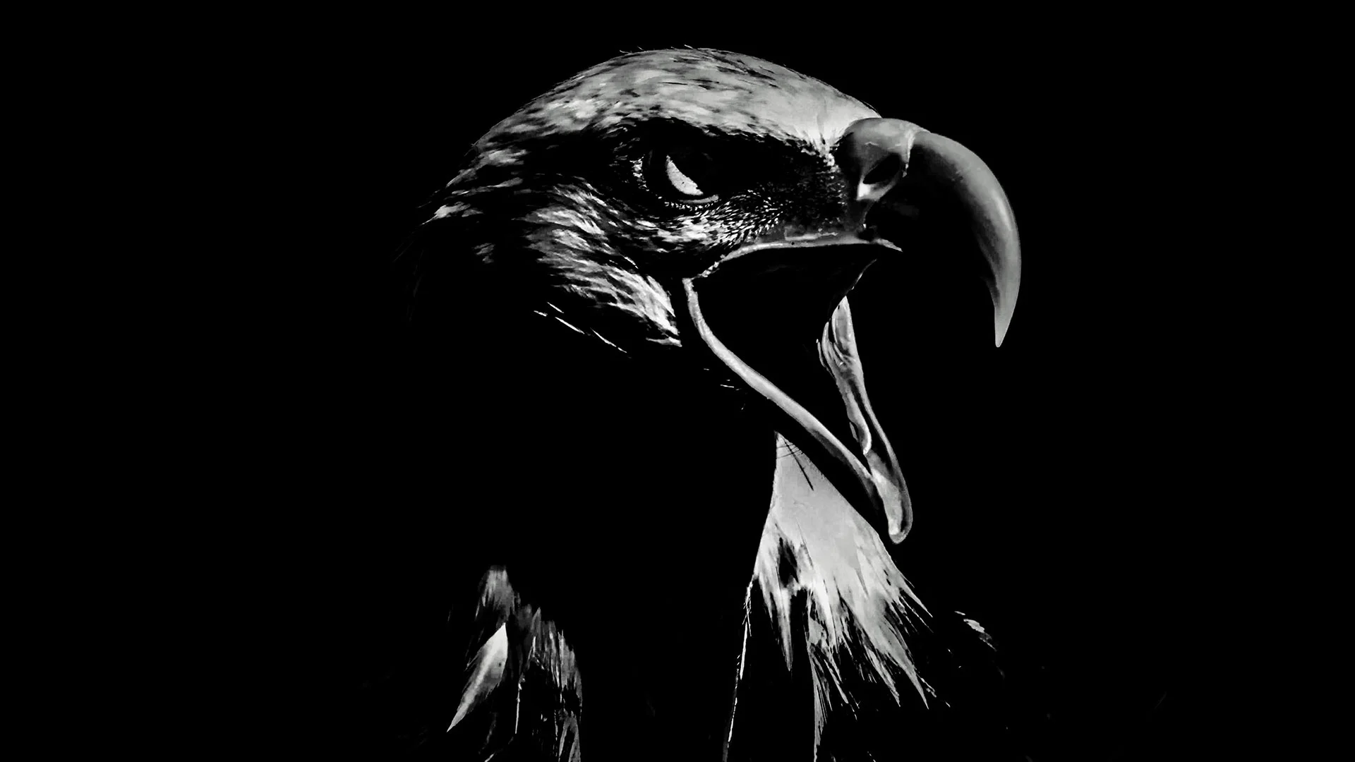 Schwarze Liste: Diese Aktien sollen um bis zu 74 Prozent crashen, sagen Experten  (Foto: Bjoern Bartsch/iStockphoto)