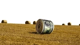 Archer Daniels Midland: Archer Daniels Midland: Das Geld liegt auf dem Feld