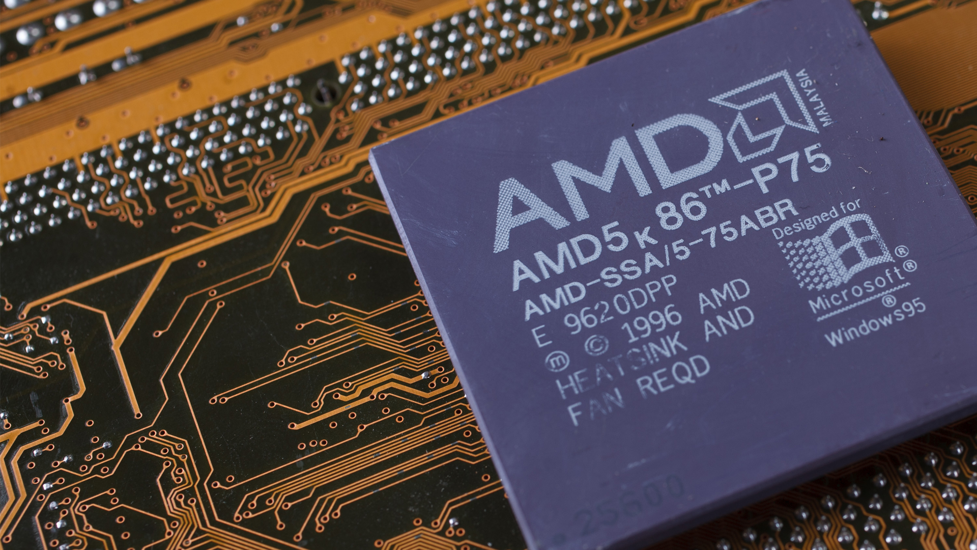 AMD&#8209;Zahlen enttäuschen – Aktie springt an (Foto: Shutterstock)