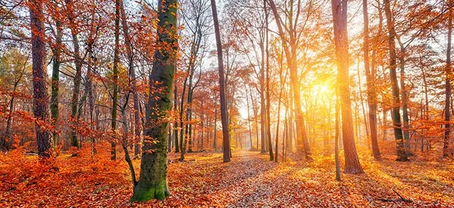 Das sind die fünf heißesten DAX‑Aktien für den Herbst (Foto: Börsenmedien AG)
