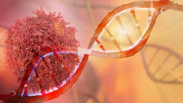 Hammer‑IPO: Allogene explodiert 40 Prozent – darum profitieren Gilead und Pfizer