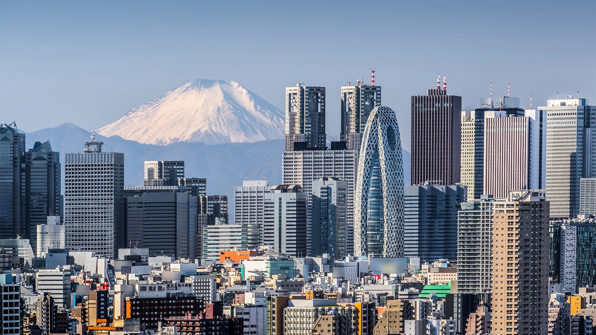 ETF&#8209;Auswertung: Diese zehn japanischen Aktien sind jetzt besonders günstig (Foto: Torsakarin/iStock)