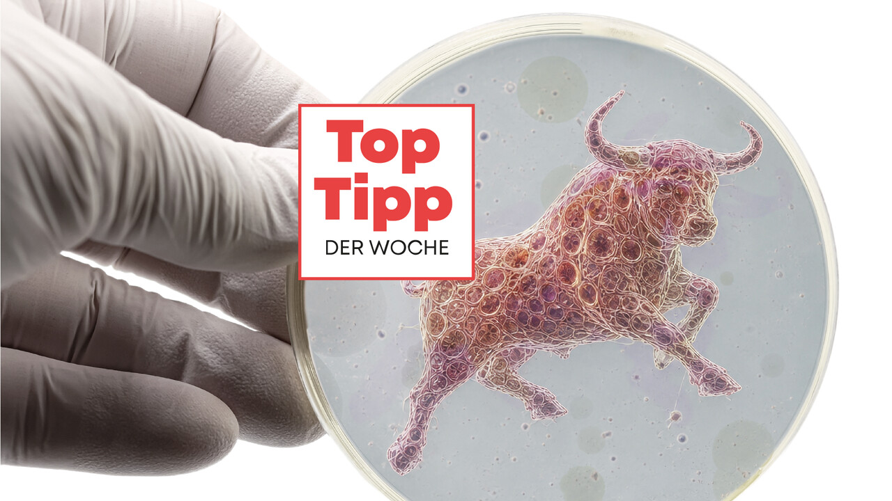 Top-Tipp der Woche: Biotech is back – diese Aktie ist jetzt ein Must-have