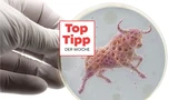 : Top‑Tipp der Woche: Biotech is back – diese Aktie ist jetzt ein Must‑have