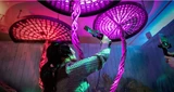 Nvidia: Nvidia: Gerücht und Metaverse‑Schmetterlinge 