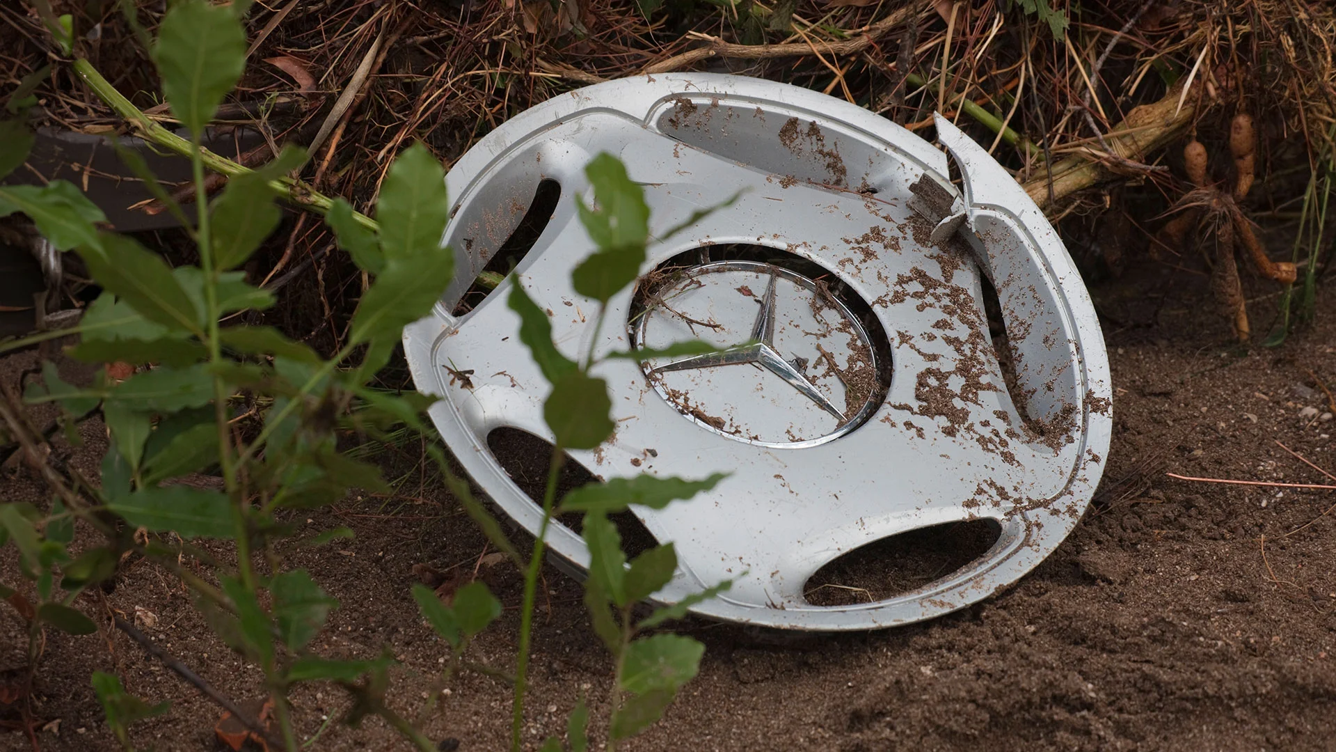 Crash‑Gefahr im Autosektor? Margenschock trifft zwei europäische Schwergewichte! (Foto: lilly3/iStockphoto)