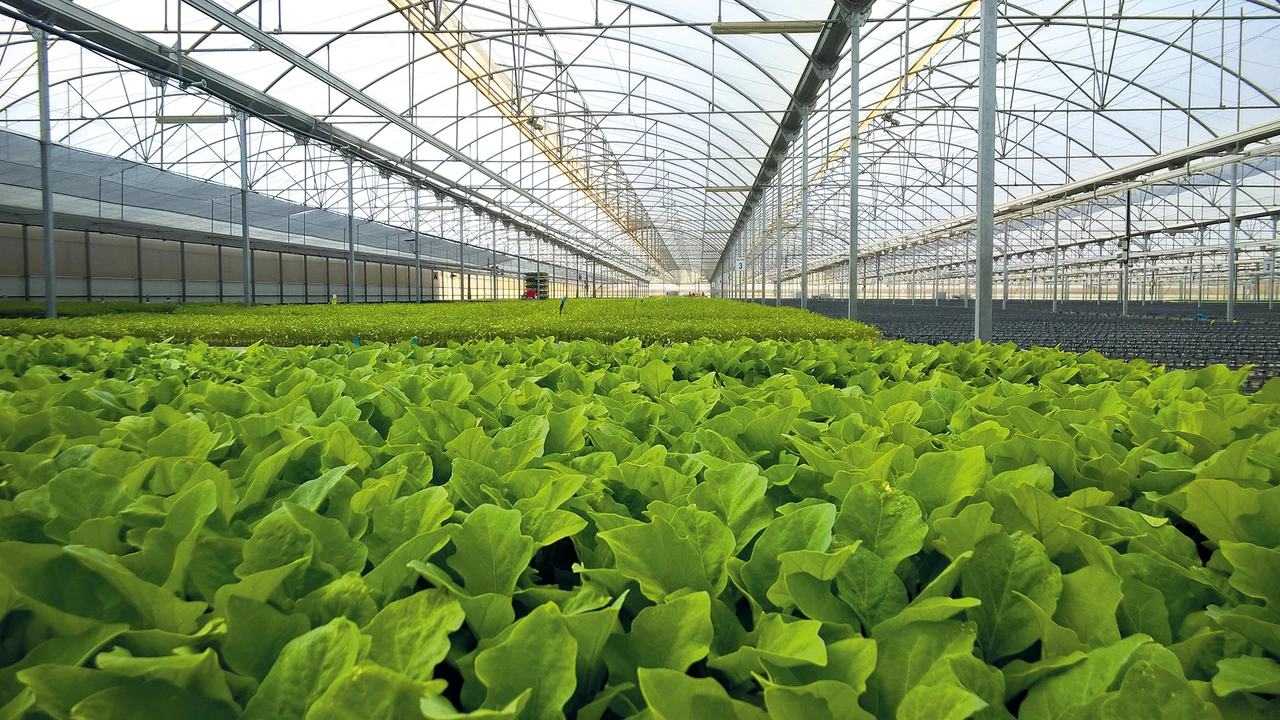 BASF: IPO kommt 2027