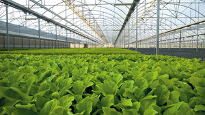 BASF: IPO kommt 2027  / Foto: BASF SE