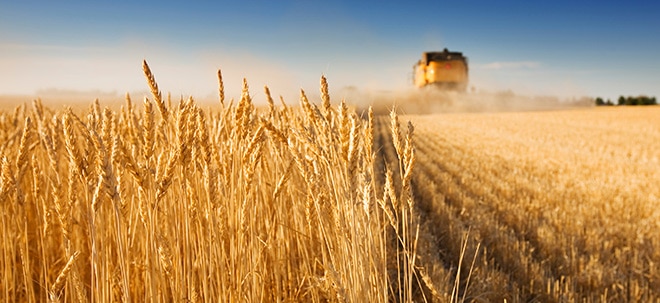 Agrarprodukte: Weizenpreise dürften weiterhin hoch bleiben (Foto: Börsenmedien AG)