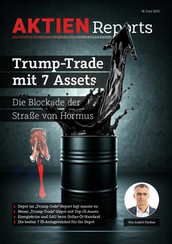 Trump-Trade mit 7 Assets