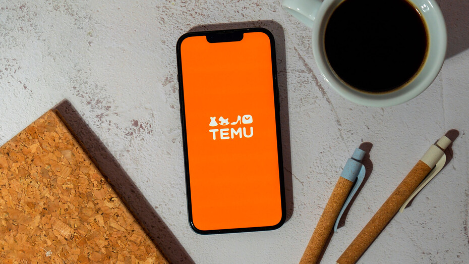  Herber Dämpfer für Temu-Mutter  (Foto: yanishevska/Shutterstock)