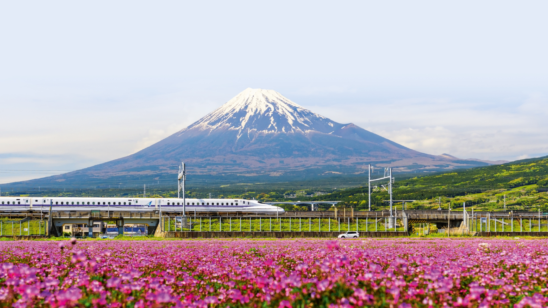 Berkshire strebt nach Japan: Wo der Buffett‑Nachfolger kaufen könnte (Foto: Blanscape/stock.adobe.com)