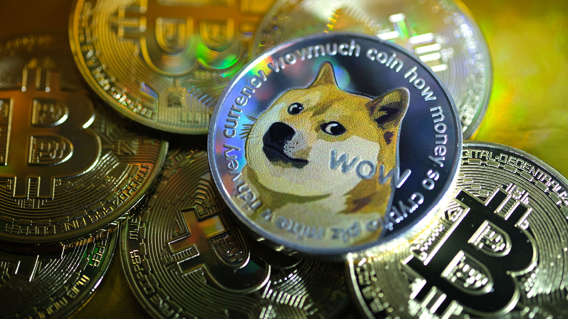 Bitcoin Parodie Dogecoin Das Ist Der Wahre Wert Der Hype Kryptowahrung Der Aktionar