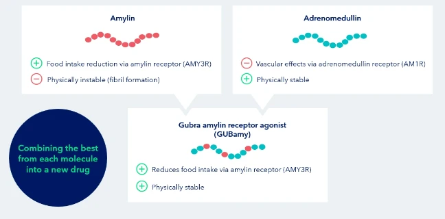 Quelle: EASD-Präsentation von Gubra (2023)