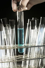 Mologen: Mologen: Biotech‑Aktie reagiert mit Gewinnen