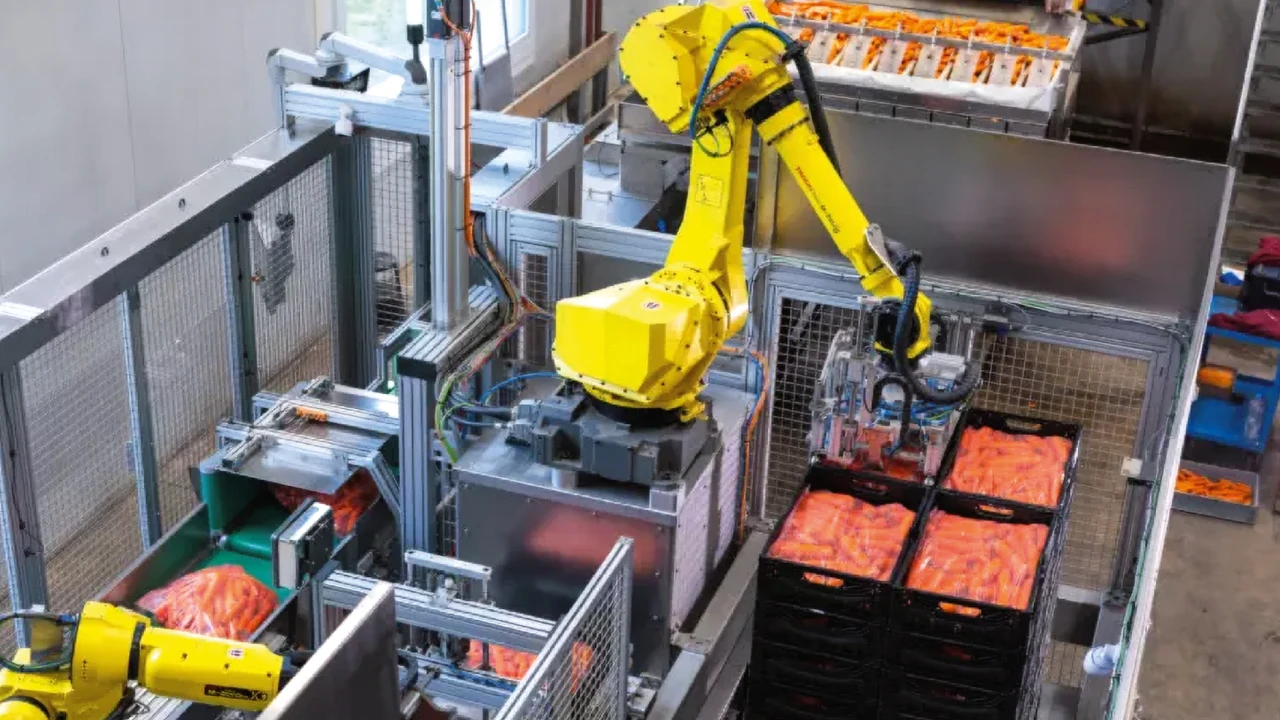 Die Zukunft fest im Griff