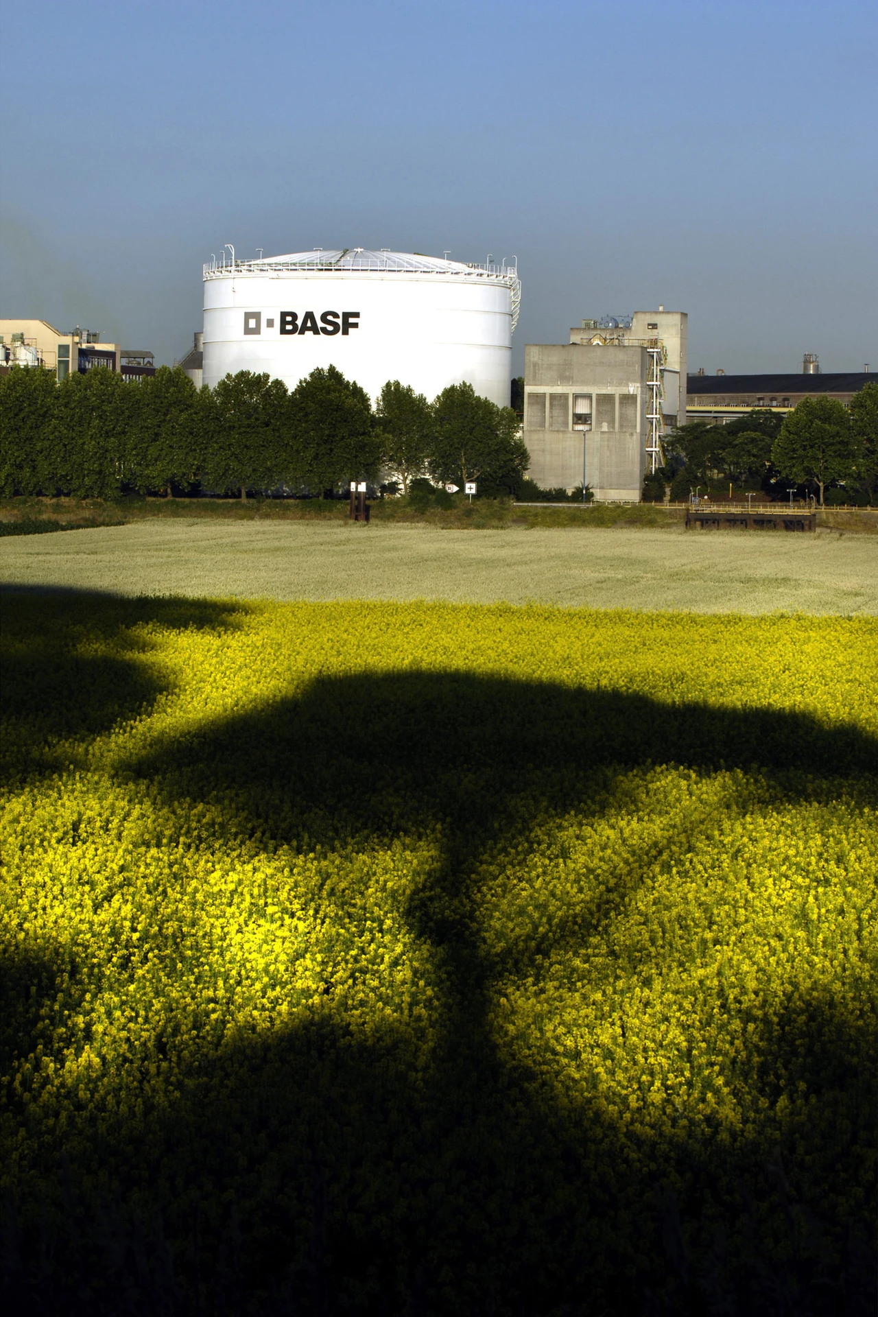 Dividendenperle BASF: Einer ist schon raus …