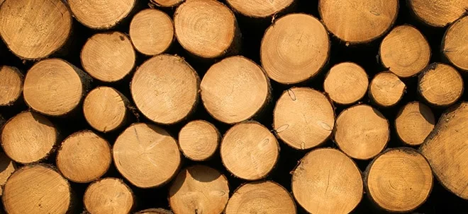Eisenerz, Agrar, Holz: Wetten auf den Aufschwung (Foto: Börsenmedien AG)