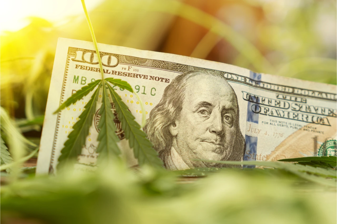 Florida entscheidet über Cannabis-Legalisierung – steht diese Aktie vor einer Verdopplung?