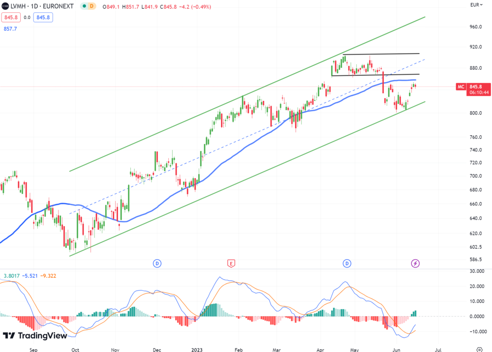 Aktien mit Bonus: Diese Firmen sind besonders spendabel - LVMH