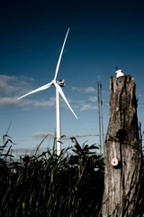 Nordex: Vestas mit super Quartal – Prognose rauf, Nordex‑Aktie klettert im Windschatten mit nach oben