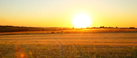 Nach Yingli schockiert auch Trina – ist jetzt JinkoSolar dran?